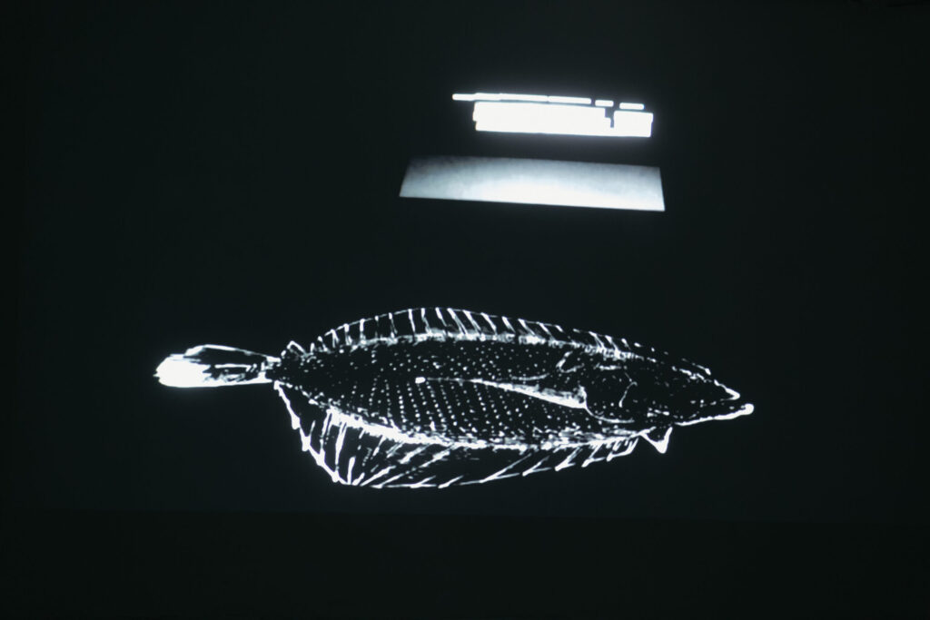 Lucia Romualdi - FOR MAAT