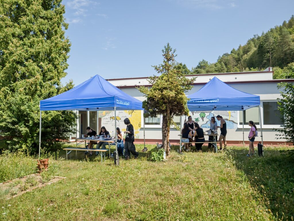WS_Zelena_Linia_20-08-2026_0001